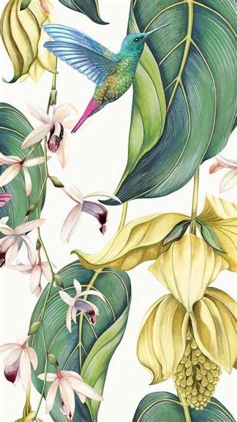 Creation Art, Botanical Painting, Plant Illustration, Arte Floral, Art Watercolor, Outdoor Fabric, Botanical Illustration, Botanical Art, Botanical Prints