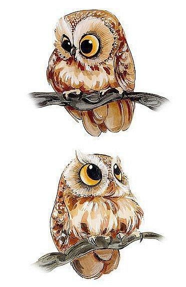 Nature Aesthetic Art, Animals Tattoo, Tattoo Nature, Whimsical Art Paintings, Baby Animal Drawings, Owl Artwork, Art Coloring Pages, Whimsical Owl, Owls Drawing