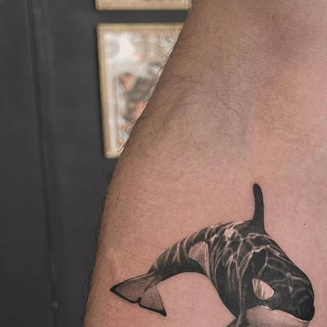 The Fox & Raven Tattoo Studio on Instagram: "Orca done for Ben last week 🐳  3hrs @daisymcqueen  . . . . . #orca #orcatattoo #whaletattoo #fishtattoo #oceantattoo #tattoo #uktattoo #walestattok #northwalestattoo" Orca Tattoo Forearm, Tattoo Ideas Animal Lover, Aquatic Sleeve Tattoo, Tiny Orca Tattoo, Orca Tattoo Men, Fox Finger Tattoo, Orca Outline Tattoo, Orca Arm Tattoo, Tattoo Ideas Orca