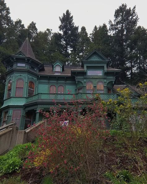 An old victorian home stands on the edge of a hill surrounded by trees. It is turquoise with red arched windows. Pine trees and shrubbery grow around the house. Johnson House, Castle On The Hill, Eugene Oregon, Victorian House, The Hill, Victorian Homes, Spooky Halloween, Haunted House, Sweater Weather