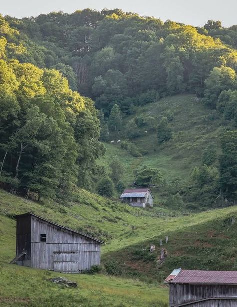 Applachia Aesthetic, Appalachia Gothic Aesthetic, Poor Country Aesthetic, Appalachian Country Aesthetic, Old Appalachia, Old Appalachia Aesthetic, 1930s Appalachia, Southern Gothic Aesthetic House, Appalachian Mountains Aesthetic