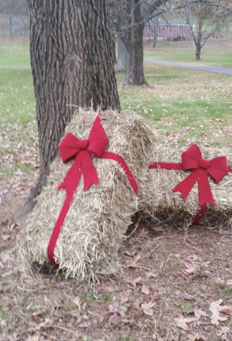 Farmer Christmas Decor, Outdoor Farm Christmas Decorations, Christmas Farm Decorations, Christmas Tractor Decorations, Country Christmas Parade Float, Farm Christmas Decor Outdoor, Country Christmas Outdoor Decorations, Holiday Hoedown Christmas Party, Country Christmas Party Theme