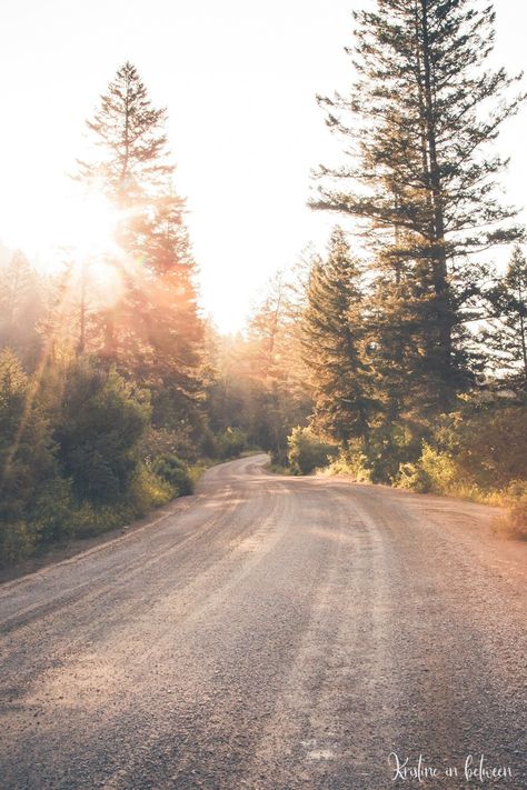 Road Aesthetic, Dirt Roads, Country Roads Take Me Home, Scenic Photography, Personal Aesthetic, Dirt Road, Back Road, Photography Gallery, Nature Aesthetic