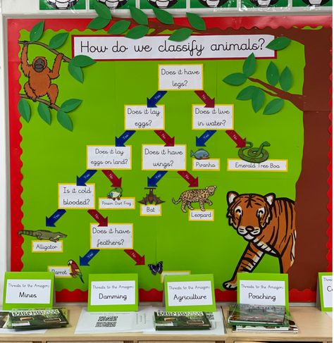 Science Display Ks2, Science Living Things, Year 4 Classroom, Class Board Decoration, Primary Classroom Ideas, Animals And Habitats, Display Boards For School, Boards For School, Classroom Display Ideas