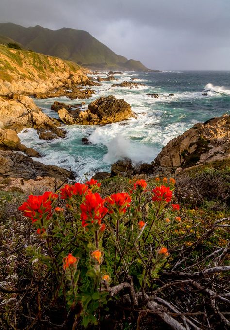 Ozone Layer, California Landscape, California Coast, To Infinity And Beyond, California Travel, Nature Aesthetic, Big Sur, Ocean Beach, Places Around The World