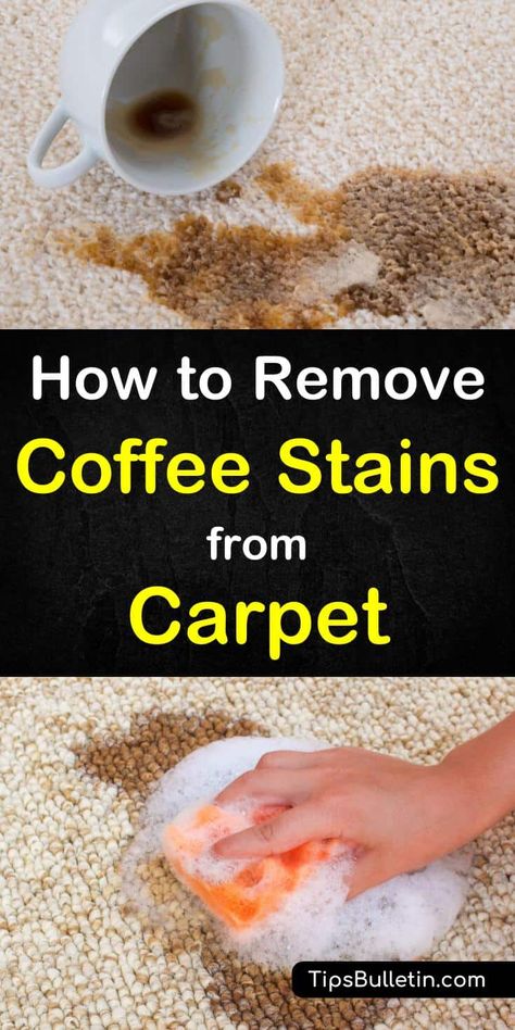 Coffee Stain Removal, Clean Baking Pans, Cleaning Painted Walls, Coffee Stain, Carpet Cleaning Hacks, Home Cleaning Tips, Cleaner Recipes, Cleaning Tips Tricks, Glass Cooktop