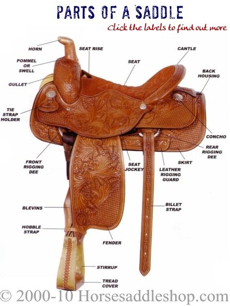 Western saddle Horse Necessities, Horse Lessons, Saddle Shop, Cow Boys, Horse Facts, Transport Museum, Western Saddles, Horse Camp, Horse Gear