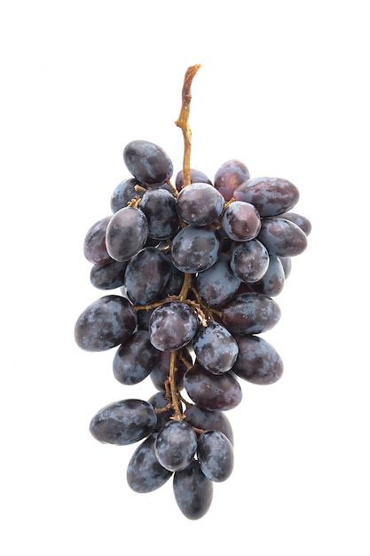 Grape Reference Photo, Grape Photography, Grapes Images, Green Grapes Photography, Autumn Grapes Photography, Healthy Harvest, March 5th, Black Grapes, Fruits Images