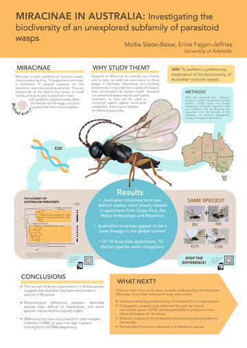 Research Poster Design, Scientific Poster Design, Academic Poster, Scientific Poster, Conference Poster, Research Poster, Poster Design Layout, Infographic Poster, Information Poster