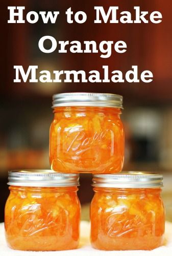 Canning 101: How to Make Orange Marmalade - One Hundred Dollars a Month Instapot Jam, Preserving Oranges, Orange Marmalade Recipe, Instapot Meals, Marmalade Jam, Canning 101, Marmalade Recipe, Homemade Jams, Jam Recipes Homemade