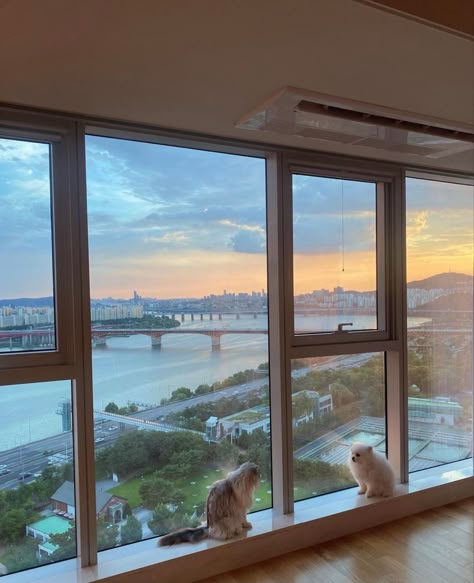 Korean Apartment View, Seoul House Interior, Nyc Apartment Big Windows, Gangnam Apartment Luxury, Korean Duplex Apartment, Rich Korean Apartments, Big Korean Apartment, Big Window Apartment, Seoul Apartment Luxury