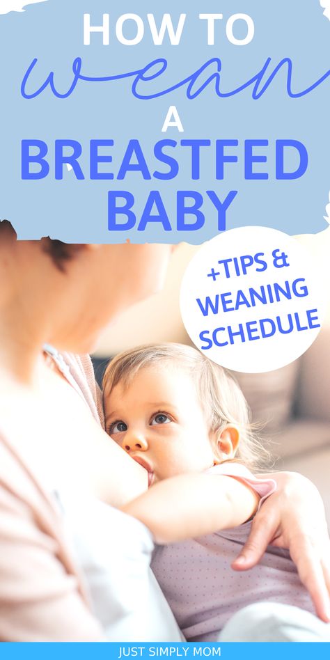 Weaning Breastfeeding, Baby Led Weaning First Foods, Stopping Breastfeeding, Crunchy Moms, Christian Motherhood, Baby Weaning, Breastfed Baby, Natural Parenting, Breastfeeding And Pumping