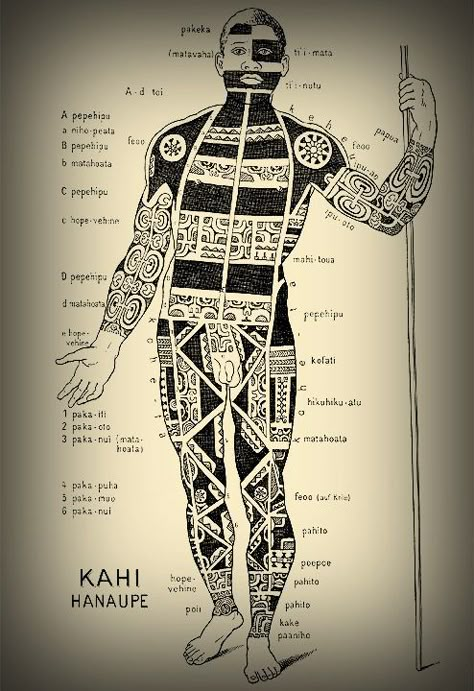 Schematic view of a tattooed Marquesan warrior. Polynesian Tattoo Designs Pattern, Marquesan Tattoo, Polynesian Tattoo Meanings, Tattoo Warrior, Historical Tattoos, Warrior Symbols, Samoan Patterns, 42 Tattoo, Totem Tattoo