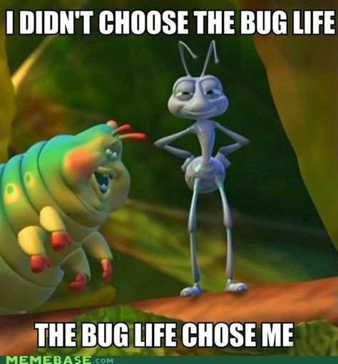 The Bug Life Pest Control Humor, Disney Family Quotes, Job Memes, Bugs Life, Joe Cocker, A Bug's Life, The Bug, A Bug, Disney Lover