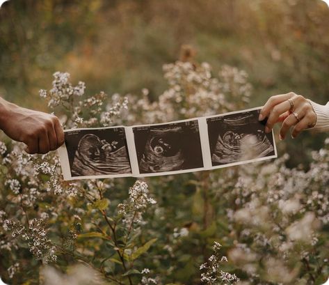 Pregnancy Announcement Photography, Pregnancy Announcement Pictures, Pregnancy Announcement Photoshoot, Maternity Photography Poses Outdoors, Fall Pregnancy Announcement, Baby Announcement Photoshoot, Outdoor Maternity Photos, Maternity Photography Poses Couple, Fun Baby Announcement