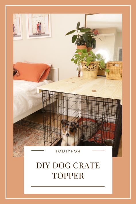 This is an easy and quick way to help your dog crate blend in with your decor. PLUS it can double as a table or storage space! We store Nova's treats/toys/grooming tools in decorative boxes ontop! Table Top Dog Crate, Dog Crate In Office, Diy Wood Top For Dog Crate, Table Top For Dog Crate, Dog Crate Entry Table, Make Dog Crate Pretty, Small Living Room With Dog Crates, Dog Crate Storage Ideas, Dog Crate Cover Wooden