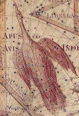 Apus - The Bird of Paradise Apus Constellation, Star Charts, Star Maps, Stick People, The Constellations, Star Constellation, White Forest, Legends And Myths, Blogging Quotes