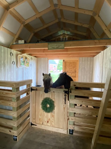 Small Horse Stable Ideas, Diy Mini Horse Stalls, Small Barn Layout, Mini Horse Stall, Small Stable Ideas, Small Stable, Mini Horse Shelter, Horse Barns Ideas, Small Horse Barn Ideas