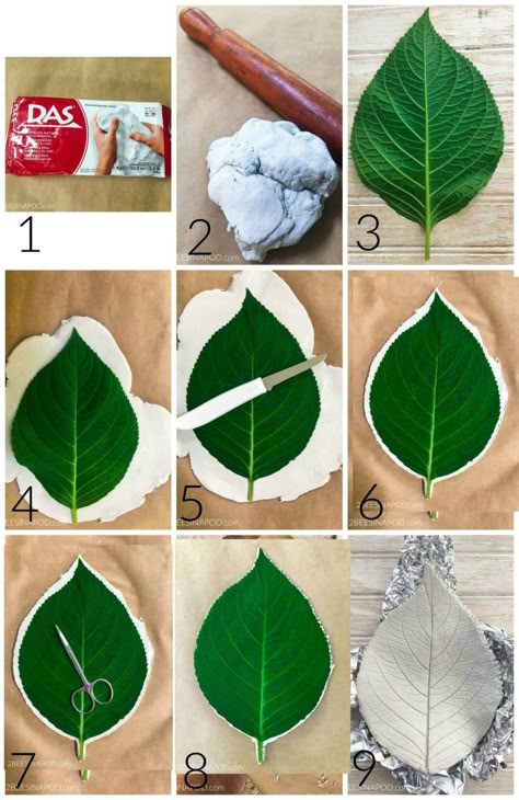 Tutorial for clay leaf bowls Oppgaver For Barn, Itsekovettuva Savi, Clay Leaf, Săpunuri Handmade, Clay Crafts For Kids, Dragonfly Dreams, Air Dry Clay Projects, Tanah Liat, Leaf Bowls