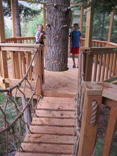 Treehouse Inspiration, Tree House Ideas, Tree Deck, Treehouse Ideas, Rope Bridge, Building A Treehouse, Tree House Plans, Tree Fort, Tree House Diy