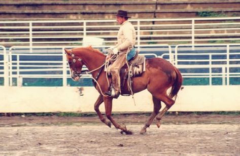 Buck Brannaman, Bridle Horse, Natural Horsemanship Training, Western Horseman, Training Horses, Riding A Horse, Equestrian Events, Natural Horsemanship, Equestrian Helmet