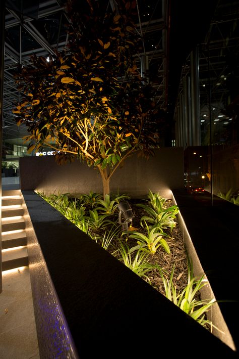 Emerald Spike Spotlight: Easy to Move, for Planter Boxes to Trees - Unios Exterior Lighting Design, Park Lighting, Walkway Lighting, Outdoor Lighting Design, Landscape Lighting Design, Architectural Lighting Design, Modern Backyard Landscaping, Facade Lighting, Urban Lighting