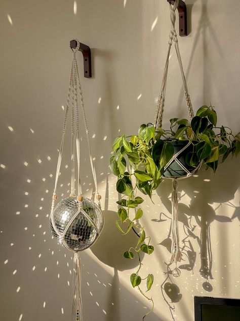 Plant Bedroom Aesthetic, Plants For Beginners, Boho Bathroom Ideas, Plants Aesthetic, Hanging Plants Indoor, Trailing Plants, Bathroom Plants, Bedroom Plants, Disco Balls