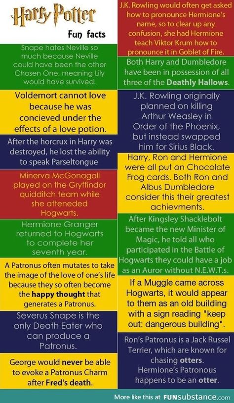 Facts About Harry Potter, Harry Potter Fun Facts, Citate Harry Potter, Hp Facts, About Harry Potter, Yer A Wizard Harry, Potter Facts, Harry Potter Facts, How To Pronounce