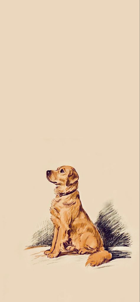 Golden Retriever Sketch Image (iPhone's Wallpaper) Labrador Wallpaper, Labrador Wallpaper Iphone, Golden Retriever Lockscreen, Aesthetic Dog Wallpaper, Golden Retriever Wallpaper Aesthetic, Lab Dog Wallpaper, Aesthetic Dog Background, Labrador Retriever Wallpaper, Aesthetic Dog Wallpaper Iphone