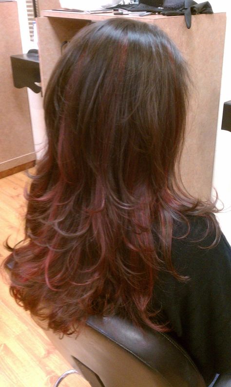 Brown Hair With Brown Red Highlights, Red Highlights On Hair Brown, Red Hair And Haircut, Light Brown And Red Highlights, Layers With Red Highlights, Red Highlights In Light Brown Hair Curly, Red Hair Bottom Layer, Red Highlights With Layers, Hair Red Highlights For Brown Hair