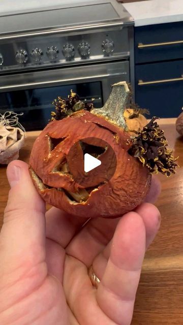 Metropolitan Market on Instagram: "Try the fun and easy shrunken pumpkin heads. #halloween #beetlejuice" Halloween Decor Crafts, Halloween Beetlejuice, Pumpkin Heads, Pumpkin Delight, Happy Haunting, Halloween Craft Projects, Pumpkin Carving Designs, October Crafts, Lantern Ideas