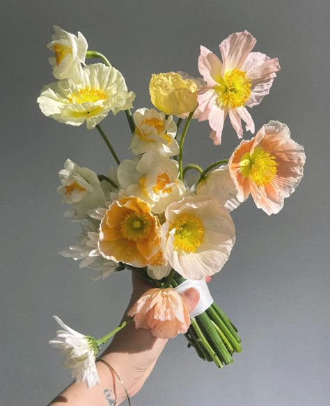 A little poppy/sunlight action from @flwrandwater that we couldn't resist 🏵️☀️ Happy Friday! #thefloristquarter #flwrandwater #newcastleflorist #newcastleflowers #australianflorists #freelanceflorists #australianfloristdirectory #forflowerlovers #flowercommunity #floristcommunity #communityovercompetition Pink Poppy Bouquet, Wedding Bouquet Poppies, Flower Bouquet Reference, Cornflower Wedding Bouquet, Wedding Poppies, Poppy Bridal Bouquet, Poppy Wedding Bouquet, Primrose Bouquet, Cornflower Wedding