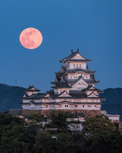 Japan Content on Twitter: "Himeji Castle 🏯… " Japan Castle, Chalet House, Castle Exterior, Castle Illustration, Himeji Castle, Japanese Travel, Japanese Castle, Japan Landscape, Japan Architecture