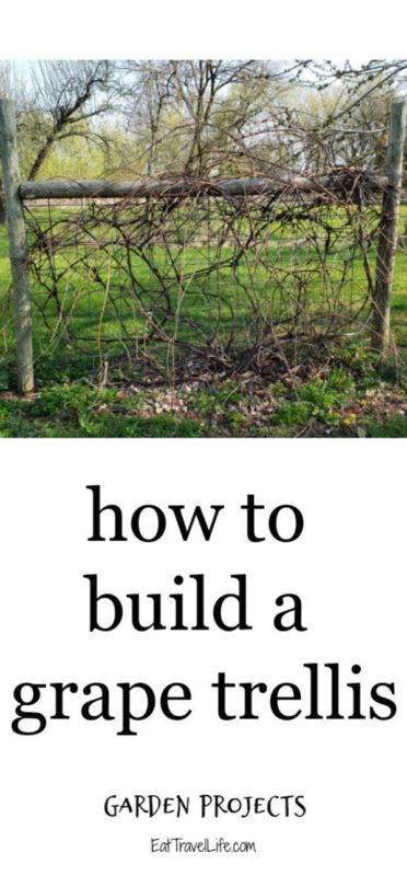 To get the most yield from your grapes, they should be supported by a trellis. This keeps the grapes off the ground. Learn how to build your own trellis. Grape Vine Trellis Diy, How To Build A Grape Vine Trellis, Grape Vine Trellis Ideas, Grape Trellis Ideas Diy, Grapevine Trellis Ideas, Support For Grape Vines, Growing Grapes In Backyard Trellis, Grape Arbor Ideas Diy, Growing Grapes On A Fence