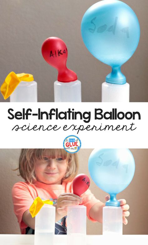 Science is all about testing, re-testing, searching, exploring, and playing. I'm almost convinced most scientists are kids who never quite grew up! Try this Self-Inflating Balloon Science Experiment with your kids today! #scienceexperiement #STEM Balloon Science Experiments, Balloon Experiment, First Grade Science, Primary Science, Kid Experiments, Easy Science Experiments, Science Activities For Kids, Science Ideas, Cool Science Experiments