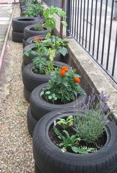 Tyre Garden, Plantarea Legumelor, Tire Garden, Preschool Garden, Tire Planters, Outside Area, Eco Garden, Nursery Garden, Sensory Garden