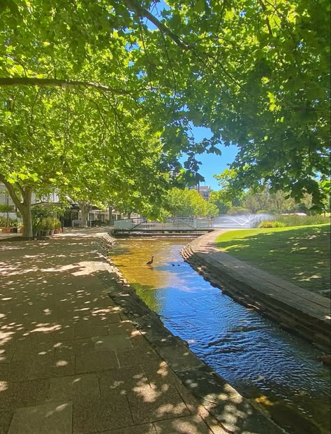 Spring Days Aesthetic, Sunny Park Aesthetic, Sunny Aesthetic Pictures, Park Aesthetic Background, Nature Park Aesthetic, Park Day Aesthetic, Sunny Weather Aesthetic Wallpaper, Sunny Day Aesthetic Wallpaper, Park Background Aesthetic