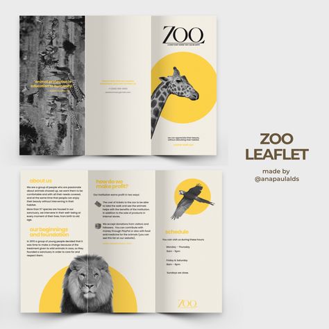 design brochure animals black white yellow aesthetic simple minimalistic graphic illustration illustrator Zoo Flyer Design, Graphic Design Leaflet, Zoo Pamphlet, Zoo Brochure Design, Zoo Design Graphics, Layout Design Brochure, Brosure Design Layout, Trifold Brochure Design Layout Creative, Zoo Flyer