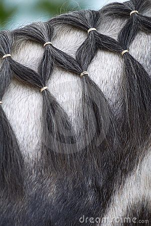 Braided horse mane by Kamensky, ...........click here to find out more… Horse Mane Braids Tutorials, Short Horse Mane Styles, Easy Horse Mane Braids, Horse Hair Ideas, Horse Mane Styles, Horse Mane Braids, Horse Hair Braiding, Horse Braiding, Horse Tail