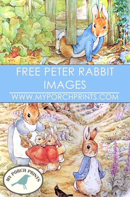 Free Peter Rabbit Beatrix Potter Images Download Beatrix Potter Peter Rabbit Illustrations, Peter Rabbit Poster, Peter Rabbit Illustration Beatrix Potter, Beatrix Potter Landscape, Beatrix Potter Free Printables, Peter Rabbit Baby Nursery, Diy Peter Rabbit Decorations, Peter Rabbit Watercolor, Beatrix Potter Decor