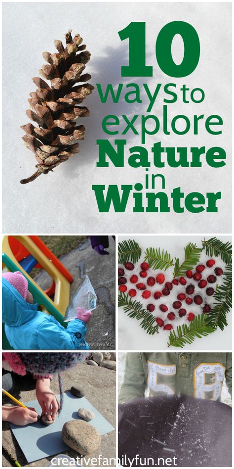 Get outside and explore nature in the winter! Here are 10 fun kids activities to get outside and explore nature in the winter. Nature In Winter, 1000 Hours Outside, Nature Learning, Fun Kids Activities, School Site, Nature Studies, Preschool Winter, Snow Activities, Nature School