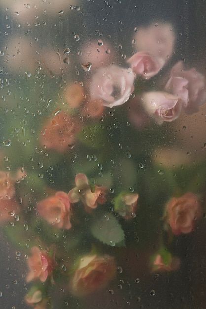 View of flowers through condensed glass | Free Photo #Freepik #freephoto #blooming-flower #flower #blooming #blossom-flower Wet Flower Wallpaper, Rainy Wallpaper Aesthetic, Frosted Flowers, Flower Desktop Wallpaper, Wet Flowers, Rainy Wallpaper, Rainy Window, Spring Iphone Wallpaper, Michel De Montaigne