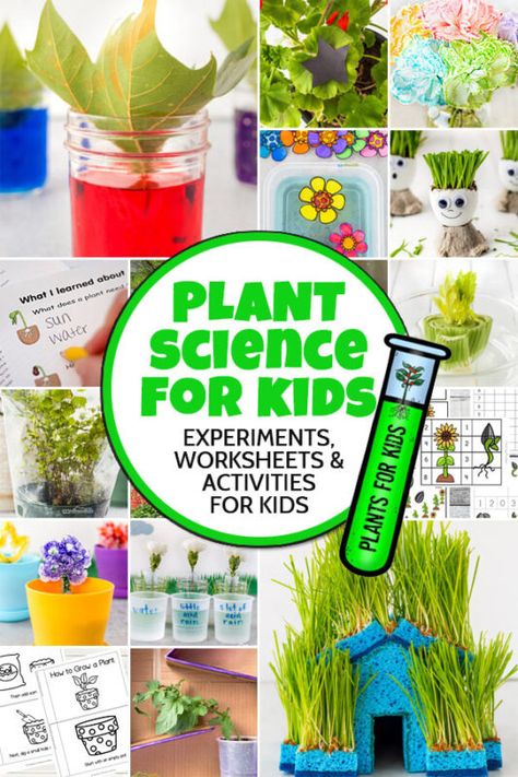 Gardening Lessons For Kids, Botany For Kids, Botany Experiments, Plant Projects For Kids, Botany Activities, Plants Science Activities, Plants Science Experiments, Nature Curriculum, Botany Lessons