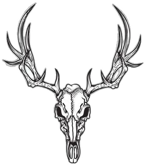 Deer Tattoo Designs Sketches, Elk Skull Tattoo Design, Stag Skull Tattoo Design, Reindeer Skull Tattoo, Viking Deer Tattoo, Wendigo Skull Drawing, Mule Deer Skull Tattoo, Deer Skull Hand Tattoo, Deer Head Tattoos For Men