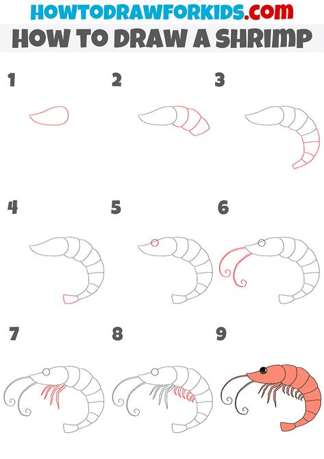 how to draw a shrimp step by step Seafood Drawing Easy, How To Draw A Crab Step By Step, Shrimp Doodle Drawing, How To Draw A Shrimp, Seaweed Drawing Easy, How To Draw A Squid, Sea Animal Drawings Easy, How To Draw A Fish Step By Step, Easy Sea Creature Drawings