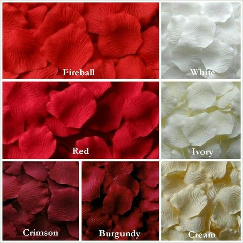 Petal Aisle, Rose Petal Aisle, Colour Shade Card, Color Names Chart, Fake Rose Petals, Petal Toss, Flower Girl Petals, Color Knowledge, Aisle Runners