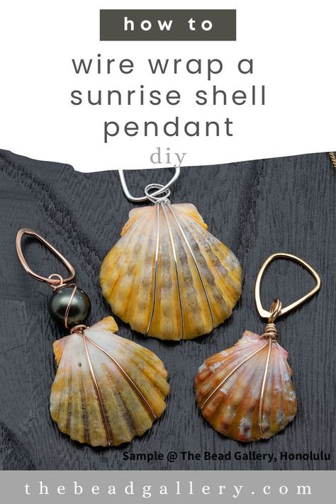 Shell Necklace Diy, Seashell Art Diy, Sea Shells Diy, Sea Shell Jewelry, Sunrise Shell, Shells Diy, Shell Pendant Diy, Wire Wrap Jewelry Designs, Shell Craft