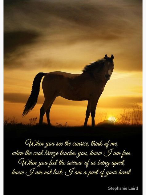 Losing A Horse, Wild Horses Quotes, Horse Poems, Horse Memory, Horses Quotes, Spiritual Poems, Cowgirl Quote, Horse Sayings, Inspirational Horse Quotes