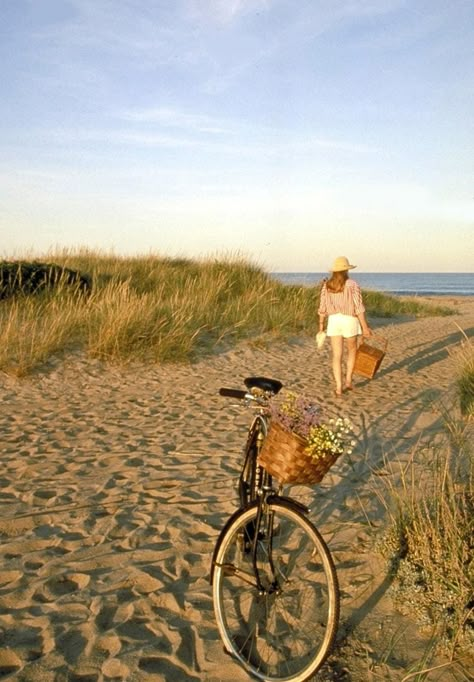 September And October Are Two Of Cape Cod’s Best-Kept Secrets Cape Cod September, Cape Cod October, Romantic Beach Picnic, Future Moodboard, Side Path, Cape Cod Aesthetic, Old Cape Cod, Chatham Cape Cod, Coastal Granddaughter Aesthetic