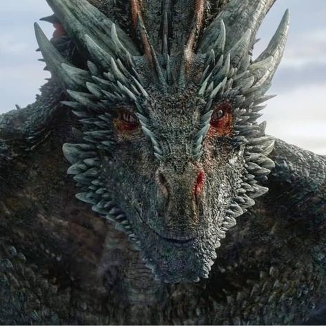 Drogon Game Of Thrones, Jon Snow And Daenerys, Hotd Dragons, Game Of Thrones Facts, The Iron Throne, Game Of Thrones Quotes, Got Dragons, Game Of Thrones Dragons, Game Of Thrones Funny